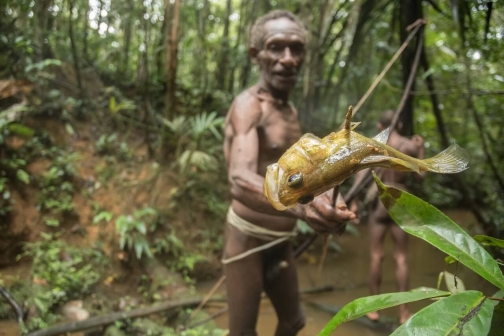 Korowajové, Západní Papua - David Čečelský - Planeta lidí