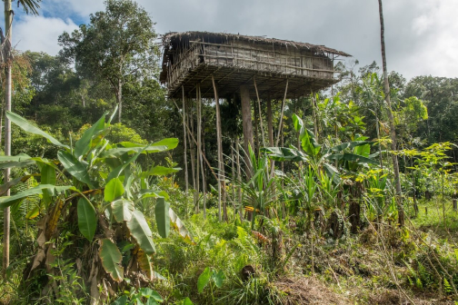 Korowajové, Západní Papua - David Čečelský - Planeta lidí