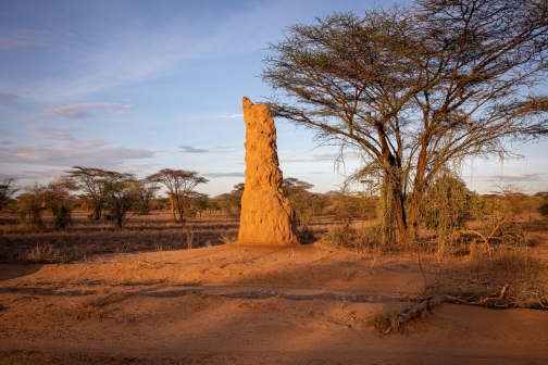 Karové, řeka Omo, Jižní Etiopie - Planeta lidí