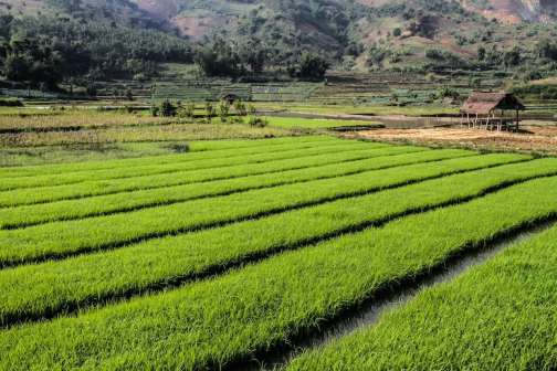 Kmen Enn - Východní Barma, Myanmar - Miroslav Švejnoha | Planeta lidí