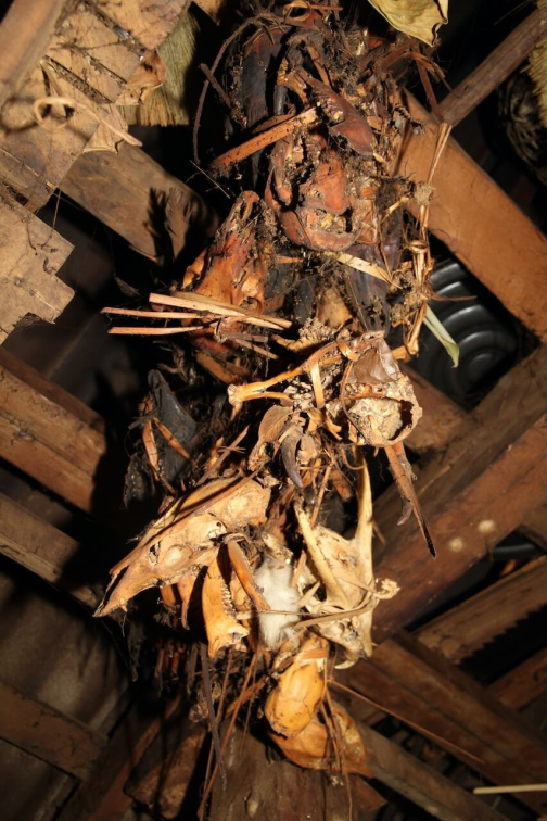 Kmen Enn - Východní Barma, Myanmar - Miroslav Švejnoha | Planeta lidí