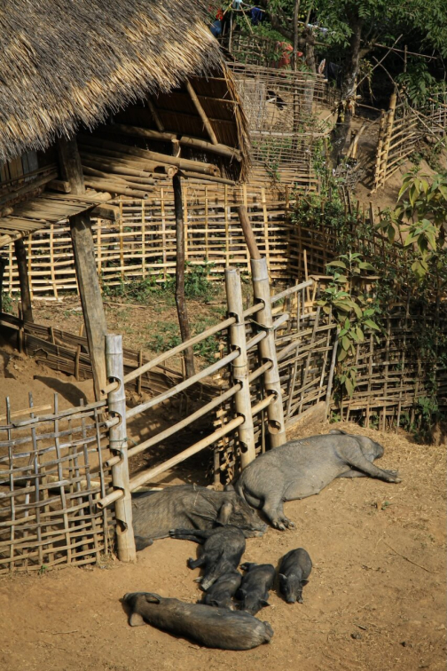 Kmen Enn - Východní Barma, Myanmar - Miroslav Švejnoha | Planeta lidí