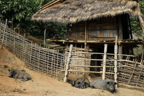 Kmen Enn - Východní Barma, Myanmar - Miroslav Švejnoha | Planeta lidí