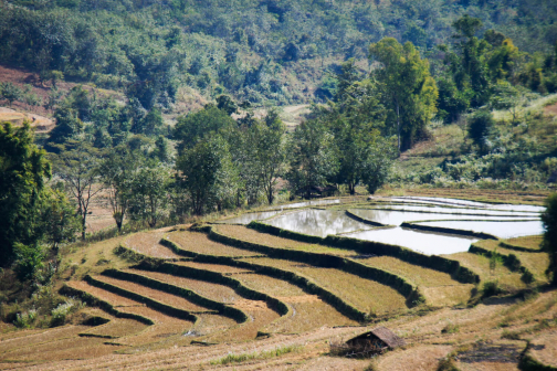 Akha, Východní Barma - Planeta lidí