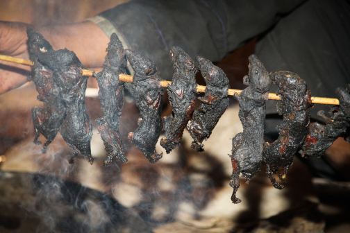 Akha, Východní Barma - Planeta lidí