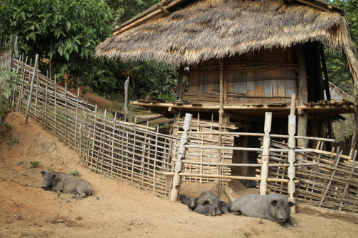 Akha, Východní Barma - Planeta lidí
