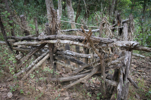 Akha, Východní Barma - Planeta lidí