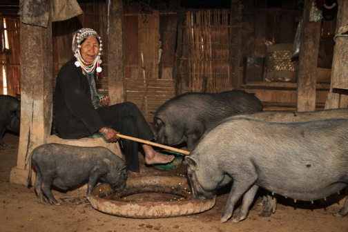 Akha, Východní Barma - Planeta lidí