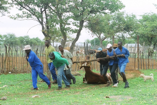 Herero - Hererové, Namibie | Planeta lidí