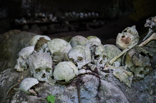 Torajové, Sulawesi - Indonésie - Planeta lidí