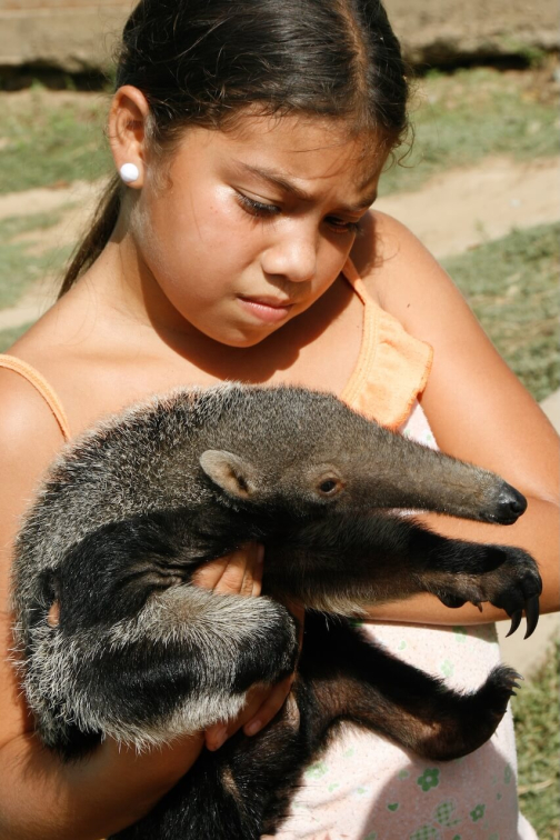 Warao, Život na řece Orinoko, Venezuela - Miroslav Švejnoha | Planeta lidí