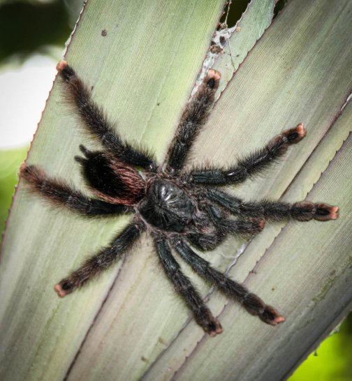 Warao, Život na řece Orinoko, Venezuela - Miroslav Švejnoha | Planeta lidí
