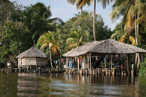Warao, Život na řece Orinoko, Venezuela - Miroslav Švejnoha | Planeta lidí