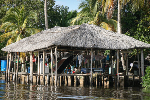 Warao, Život na řece Orinoko, Venezuela - Miroslav Švejnoha | Planeta lidí