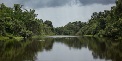 Warao, Život na řece Orinoko, Venezuela - Planeta lidí, Milan Sekanina