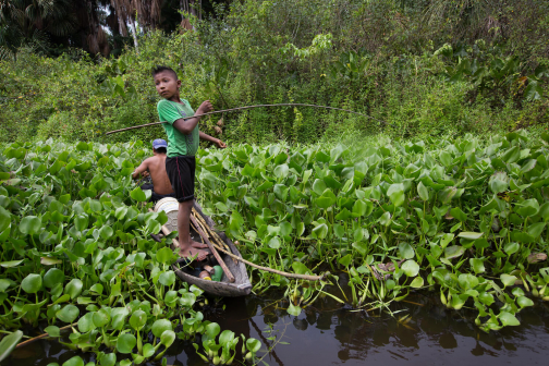 Warao, Život na řece Orinoko, Venezuela - Planeta lidí, Milan Sekanina