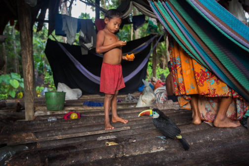 Warao, Život na řece Orinoko, Venezuela - Planeta lidí, Milan Sekanina