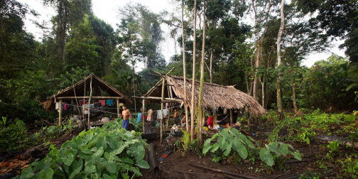 Warao, Život na řece Orinoko, Venezuela - Planeta lidí, Milan Sekanina