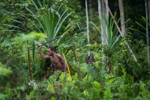 Korowai, Západní Papua - Milan Sekanina - Planeta lidí