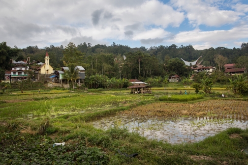 Toraja, Indonésie - Milan Sekanina - Planeta lidí