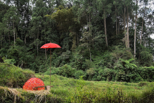 Toraja, Indonésie - Milan Sekanina - Planeta lidí