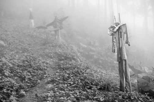 Toraja, Indonésie - Milan Sekanina - Planeta lidí