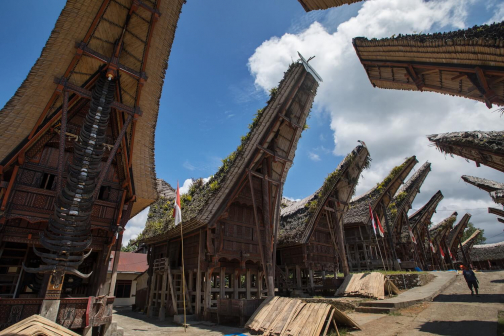 Toraja, Indonésie - Milan Sekanina - Planeta lidí