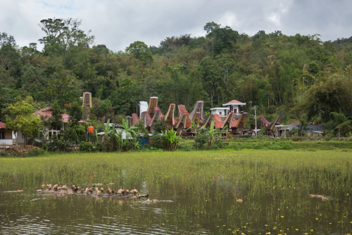 Toraja, Indonésie - Milan Sekanina - Planeta lidí