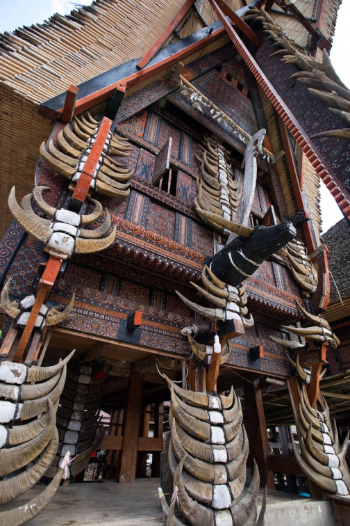 Toraja, Indonésie - Milan Sekanina - Planeta lidí