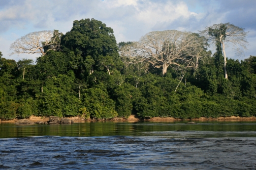 Sanemové, povodí řeky Caura, Venezuela - Planeta lidí