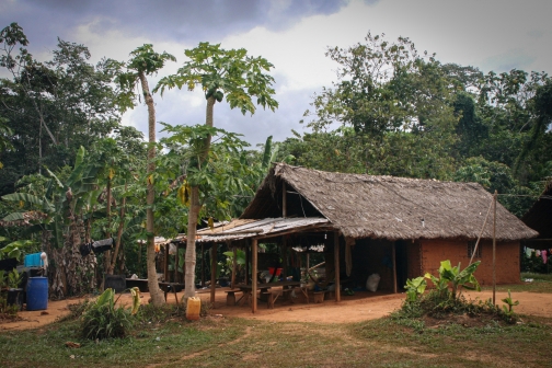 Sanemové, povodí řeky Caura, Venezuela - Planeta lidí