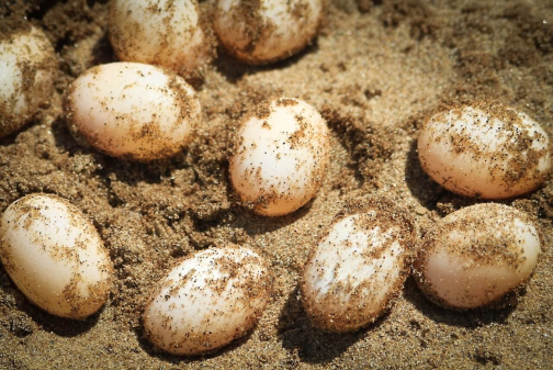 Waorani - Huaorani, Národní park Yasuní, Ekvádor | Planeta lidí