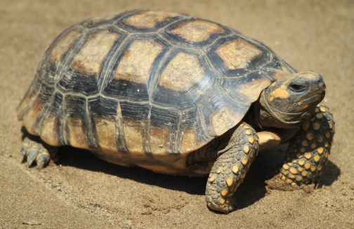 Waorani - Huaorani, Národní park Yasuní, Ekvádor | Planeta lidí
