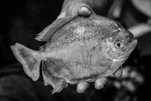 Waorani - Huaorani, Národní park Yasuní, Ekvádor | Planeta lidí