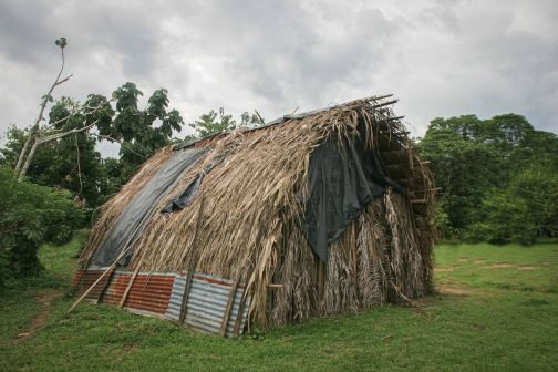 Waorani - Huaorani, Národní park Yasuní, Ekvádor | Planeta lidí