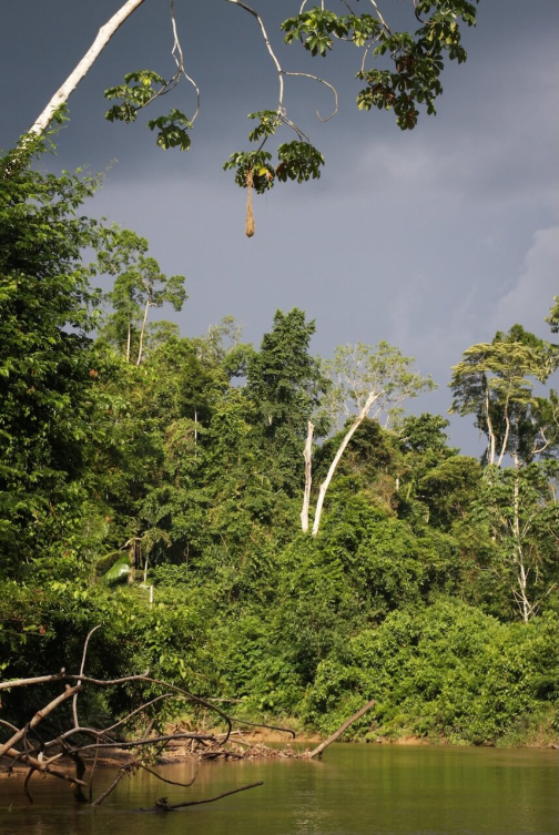 Waorani - Huaorani, Národní park Yasuní, Ekvádor | Planeta lidí