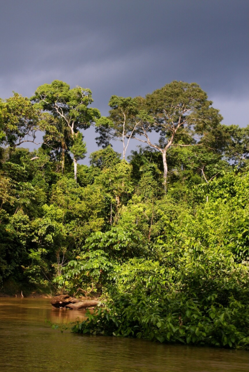Waorani - Huaorani, Národní park Yasuní, Ekvádor | Planeta lidí
