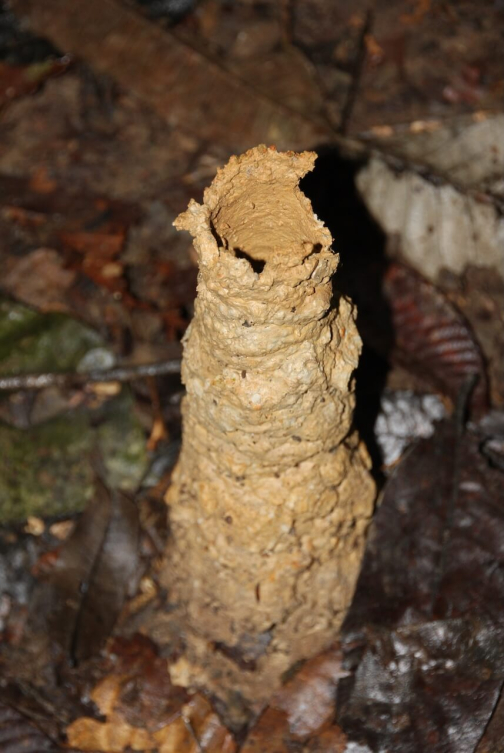 Waorani - Huaorani, Národní park Yasuní, Ekvádor | Planeta lidí