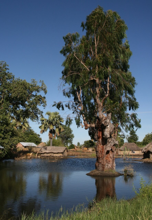 Slavnost Kuomboka - kmen Lozi, Barotseland - Zambie | Planeta lidí
