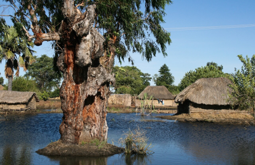 Slavnost Kuomboka - kmen Lozi, Barotseland - Zambie | Planeta lidí
