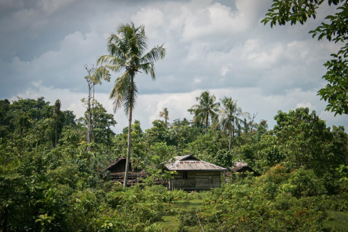 Mentawai - Ostrov Siberut, Indonésie - Miroslav Haluza | Planeta lidí