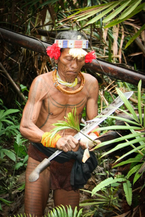 Mentawai - Ostrov Siberut, Indonésie - Miroslav Haluza | Planeta lidí