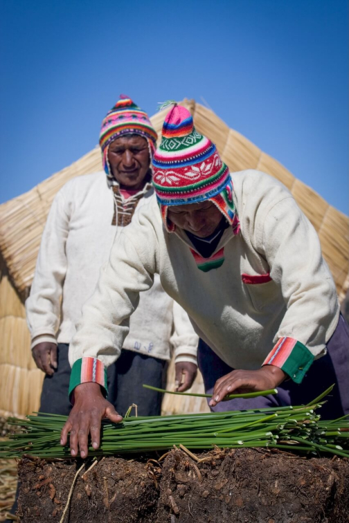 Urové, jezero Titicaca - Bolívie, Peru - Radka Švejnohová | Planeta lidí