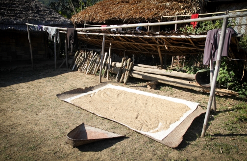 Vesnice v okolí vesnice Longwa, Nagaland - Planeta lidí