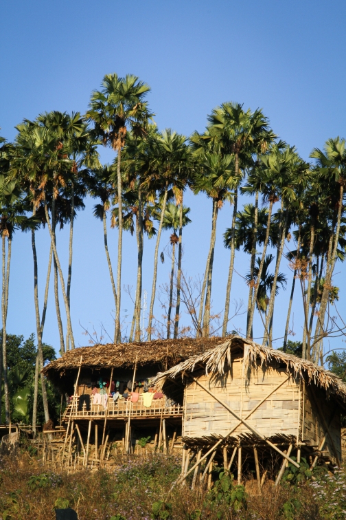 Vesnice v okolí vesnice Longwa, Nagaland - Planeta lidí