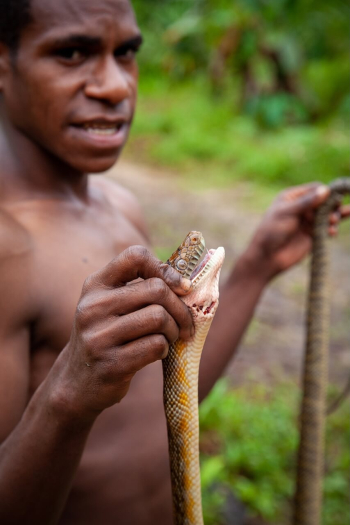 Ze života Korowai, Irian Jaya, Indonésie | Planeta lidí - David Švejnoha