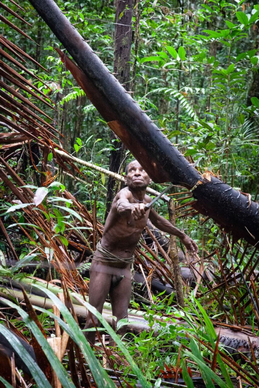 Ze života Korowai, Irian Jaya, Indonésie | Planeta lidí - David Švejnoha