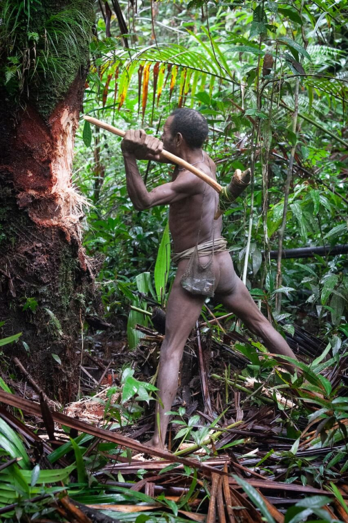 Ze života Korowai, Irian Jaya, Indonésie | Planeta lidí - David Švejnoha