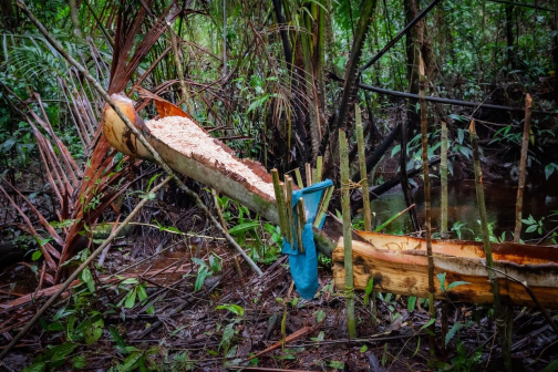 Ze života Korowai, Irian Jaya, Indonésie | Planeta lidí - David Švejnoha