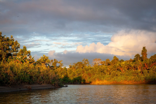 Ze života Korowai, Irian Jaya, Indonésie | Planeta lidí - David Švejnoha